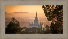 Load image into Gallery viewer, Golden Oakland
