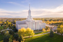 Load image into Gallery viewer, Golden Timpanogos
