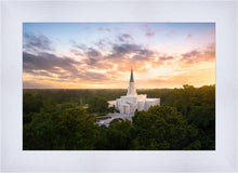 Load image into Gallery viewer, Houston from on High
