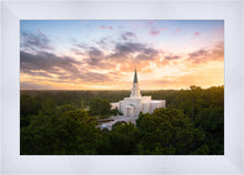 Load image into Gallery viewer, Houston from on High
