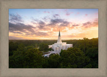 Load image into Gallery viewer, Houston from on High
