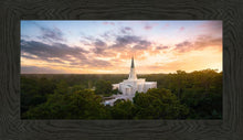 Load image into Gallery viewer, Houston from on High
