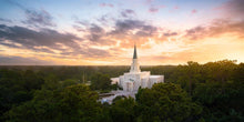 Load image into Gallery viewer, Houston from on High
