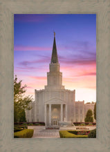 Load image into Gallery viewer, Houston Walk in the Light
