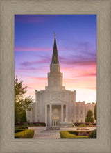 Load image into Gallery viewer, Houston Walk in the Light
