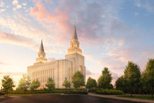 Load image into Gallery viewer, Kansas City Brightly Beams
