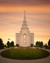 Load image into Gallery viewer, Kansas City Golden
