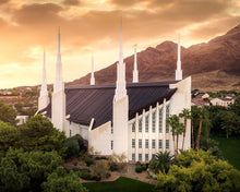 Load image into Gallery viewer, Las Vegas Desert Oasis Aerial
