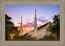 Load image into Gallery viewer, Las Vegas Desert Rose
