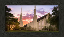 Load image into Gallery viewer, Las Vegas Desert Rose
