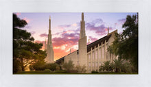 Load image into Gallery viewer, Las Vegas Desert Rose
