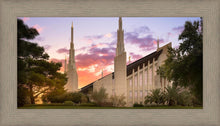 Load image into Gallery viewer, Las Vegas Desert Rose
