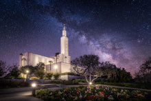Load image into Gallery viewer, Los Angeles Celestial
