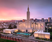 Load image into Gallery viewer, Los Angeles Weathering the Storm
