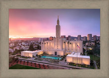 Load image into Gallery viewer, Los Angeles Weathering the Storm
