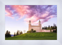 Load image into Gallery viewer, Manti Cotton Candy
