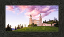 Load image into Gallery viewer, Manti Cotton Candy
