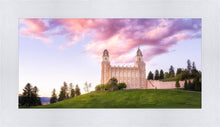Load image into Gallery viewer, Manti Cotton Candy

