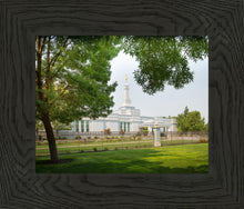 Load image into Gallery viewer, Medford Daydream
