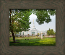 Load image into Gallery viewer, Medford Daydream
