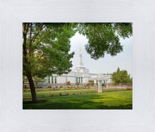 Load image into Gallery viewer, Medford Daydream
