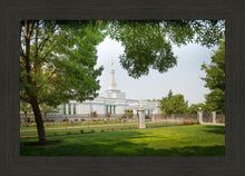 Load image into Gallery viewer, Medford Daydream
