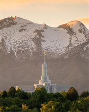 Load image into Gallery viewer, Mt. Timpanogos You’re not Alone
