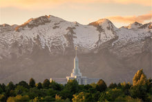 Load image into Gallery viewer, Mt. Timpanogos You’re not Alone
