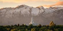 Load image into Gallery viewer, Mt. Timpanogos You’re not Alone
