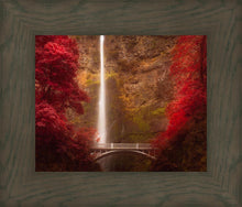 Load image into Gallery viewer, Multnomah Falls
