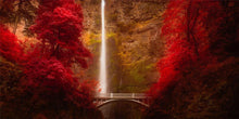 Load image into Gallery viewer, Multnomah Falls
