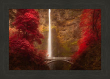Load image into Gallery viewer, Multnomah Falls
