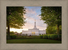 Load image into Gallery viewer, Nashville Trees
