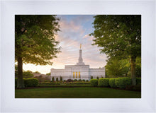 Load image into Gallery viewer, Nashville Trees
