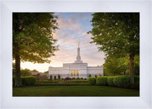 Load image into Gallery viewer, Nashville Trees

