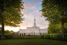 Load image into Gallery viewer, Nashville Trees
