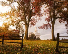 Load image into Gallery viewer, Nauvoo, An Ensign to the Nations

