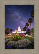 Load image into Gallery viewer, Oakland Starry Eyed
