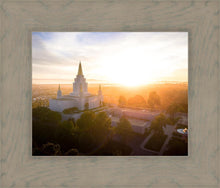 Load image into Gallery viewer, Oakland Sunburst

