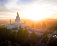 Load image into Gallery viewer, Oakland Sunburst
