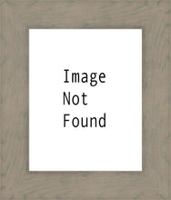 Load image into Gallery viewer, Oasis Mesa Arizona
