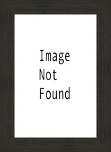 Load image into Gallery viewer, Oasis Mesa Arizona
