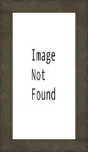 Load image into Gallery viewer, Oasis Mesa Arizona
