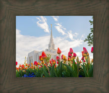 Load image into Gallery viewer, Ogden Flowers
