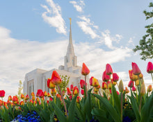 Load image into Gallery viewer, Ogden Flowers
