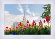 Load image into Gallery viewer, Ogden Flowers
