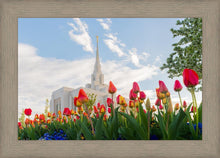 Load image into Gallery viewer, Ogden Flowers
