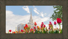 Load image into Gallery viewer, Ogden Flowers
