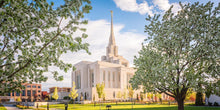 Load image into Gallery viewer, Ogden Grounds
