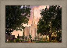 Load image into Gallery viewer, Ogden Pathways
